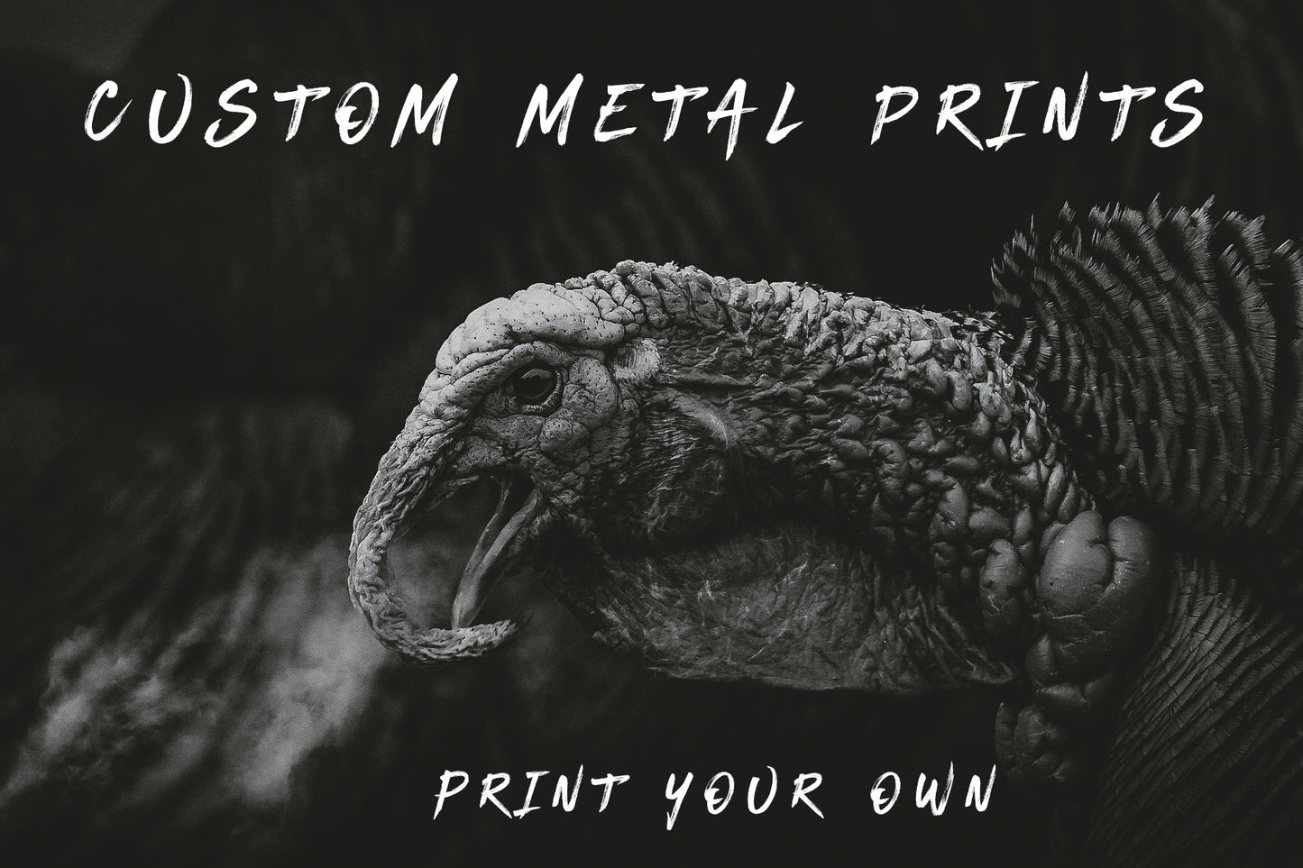Custom Metal Print